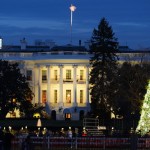Charmant-schräge Holiday Season in Washington