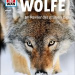 Fakten über den grauen Jäger – was Kids über Wölfe wissen wollen