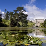 Mehr als nur grün: Die schönsten Gärten Irlands