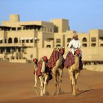 Dattelfest in der Wüste von Abu Dhabi