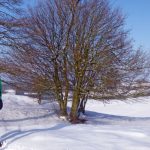 Warm anziehen und loswandern – die schönsten Winterwanderstrecken rund um Osterode