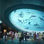 Neues Wissenschaftsmuseum eröffnet in Miami