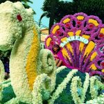 Frühling in Ligurien: Auf zwei Rädern durch die Blumenriviera