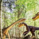 Giganten der Urzeit im Naturpark Altmühltal