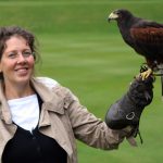 Flugübungen mit Falken – königlicher Sport im schottischen Hochland
