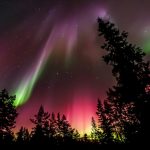 Notizen aus der Welt des Reisens – Aurora Borealis in Finnland, Löwen-Rückkehr in Südafrika