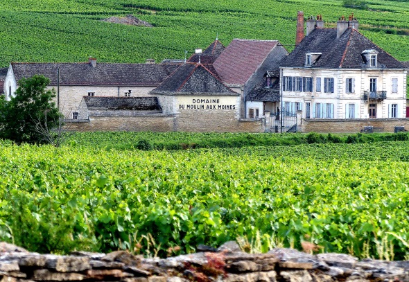 Burgund von der schönsten Seite: An der Route des Grands Crus reiht sich Weingut an Weingut. (Foto Katharina Büttel)