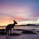 Unberührte Inselparadiese in Westaustralien