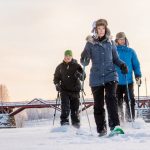 Aktiv oder entspannt oder beides: Skellefteå im Winterwunderland Västerbotten