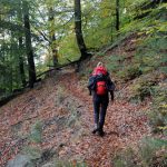 Elbsandsteingebirge erhält eigene Trekkingroute