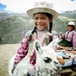 Alpakas – ein vierbeiniges Stück Peru zum Kuscheln