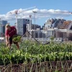 Oslo punktet als Europas „Grüne Hauptstadt 2019“