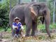 Im Elephant Valley im Norden von Thailand wird sich liebevoll um das Wohl der Dickhäuter gekümmert. - Foto Cornelia Lohs