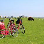 Schleswig-Holstein vom Fahrrad aus entdecken