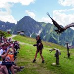 Adlerbühne Ahorn – höchstgelegene Greifvogelstation Europas