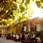 Wien und der Wein: Heurige, Weinwanderungen und der berühmte Gemischte Satz
