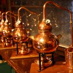 Schottland: Gin-Herstellung im Whisky-Land