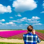 Neu in Flevoland: Eine farbenprächtige Tulpeninsel