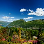 Botanische Gärten der Schweiz blühen auf