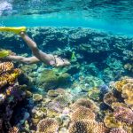 Okinawa bezaubert mit Unterwasserwelt
