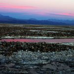 Atacama-Wüste – Wüstenwunderland im Höhenrausch