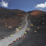 Zu Fuß zum neuen Vulkan auf La Palma
