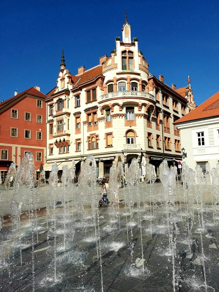 Weinkultur und k.u.k.Glanz in Maribor Mortimer