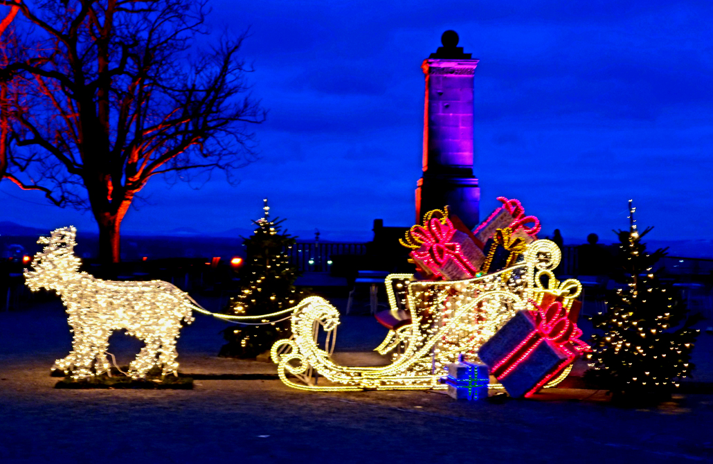 Christmas Garden