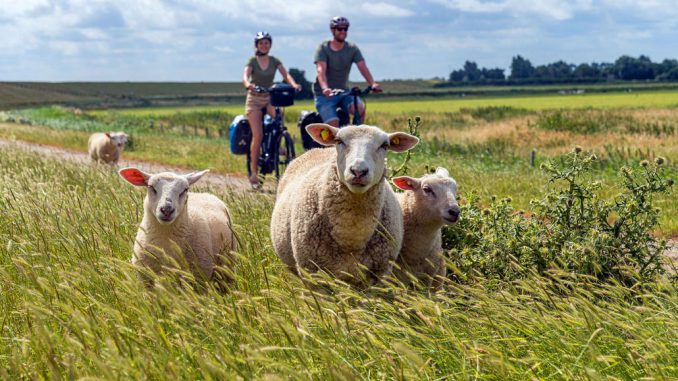 Ostfriesland