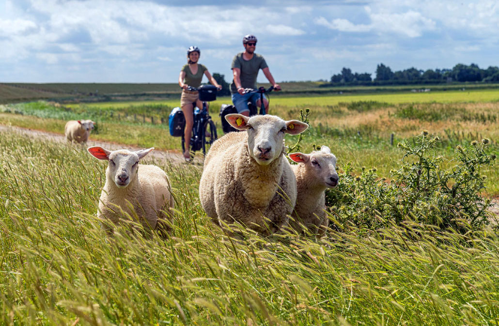 Ostfriesland