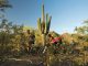 Scottsdale