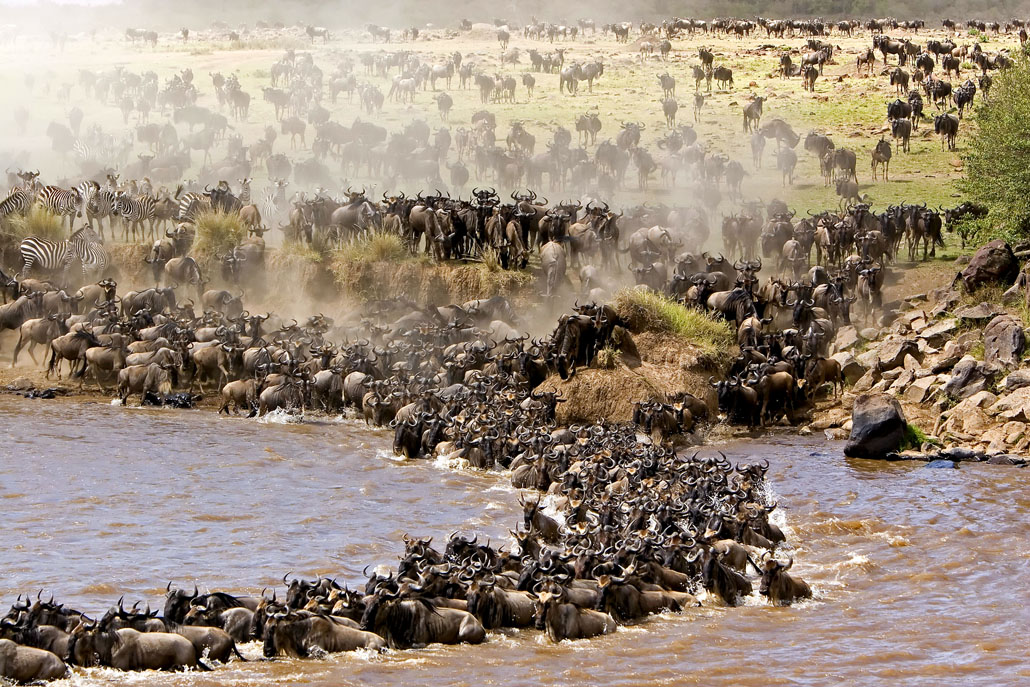 Afrikas