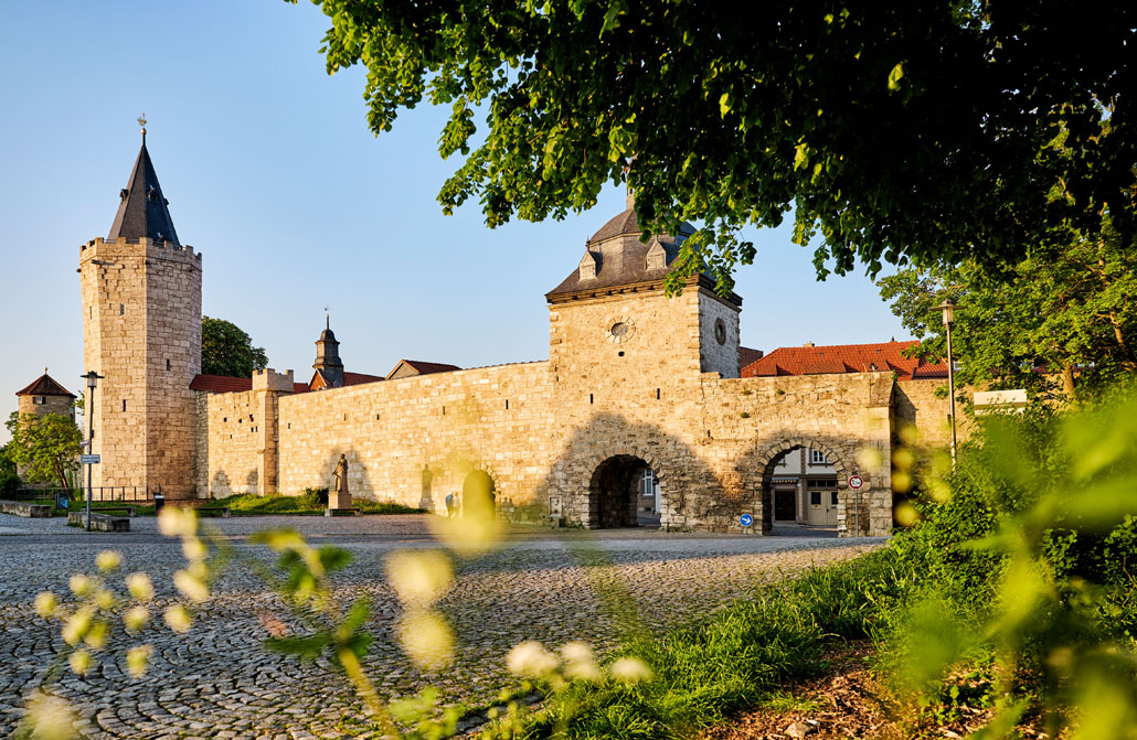 Hainich