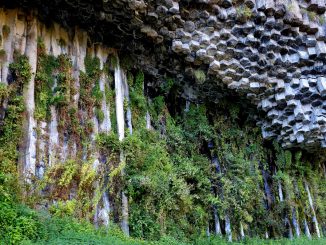 Garni