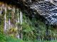Garni