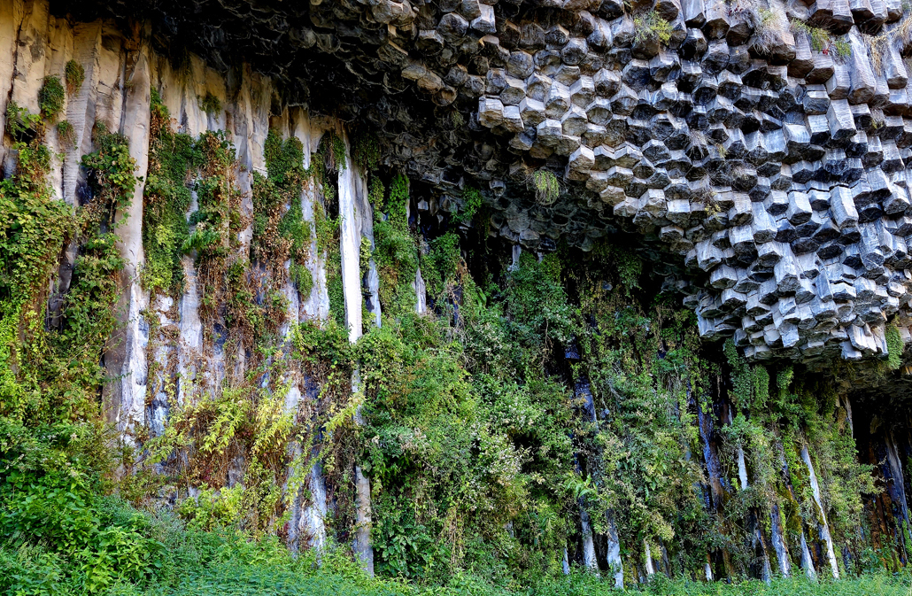 Garni
