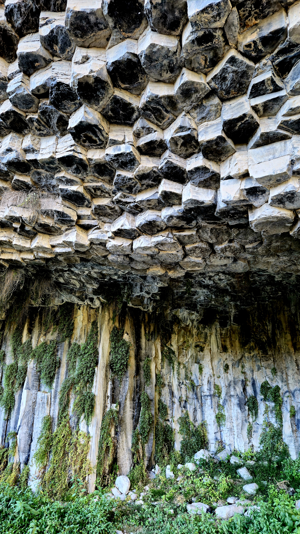 Garni
