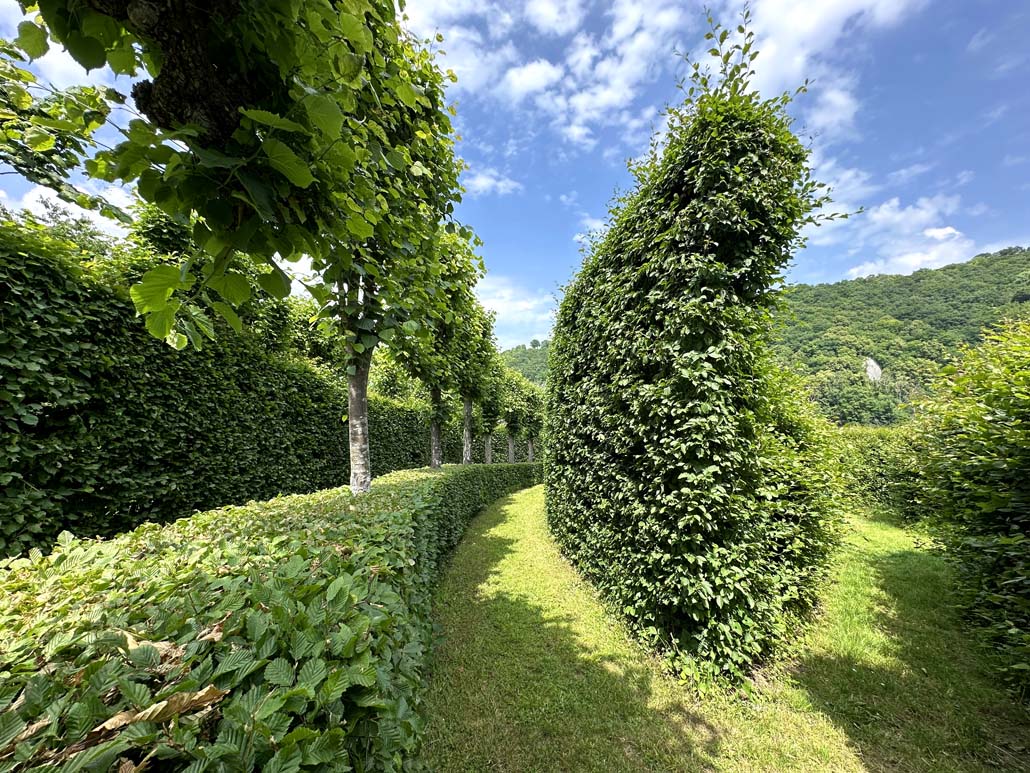 Wallonie