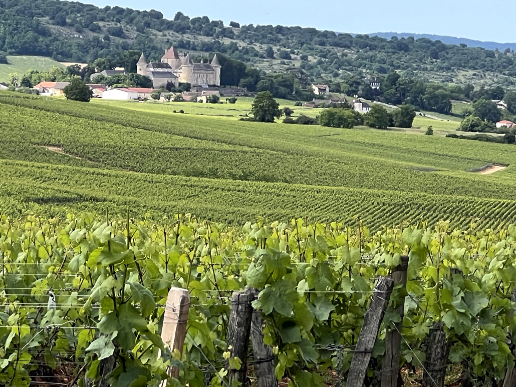 Burgund