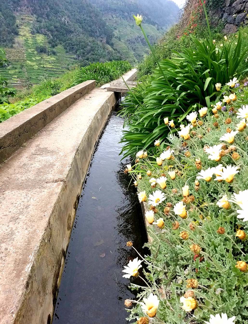 Madeira