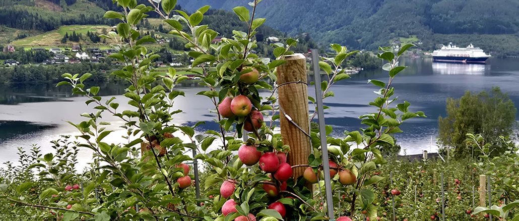 Ulvik