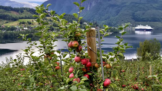 Ulvik