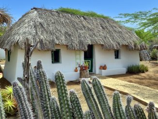 Kas di Pal’i Maishi