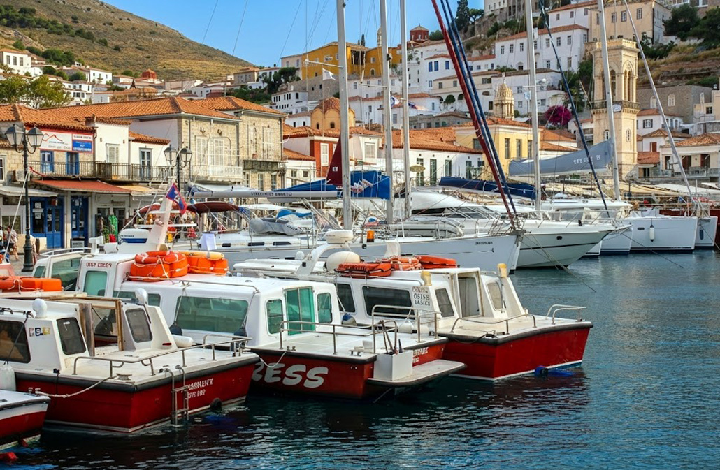 Hydra