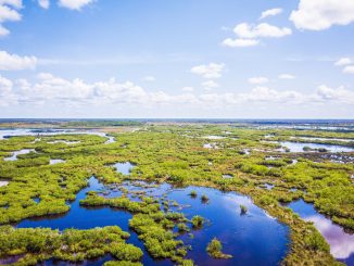 Everglades