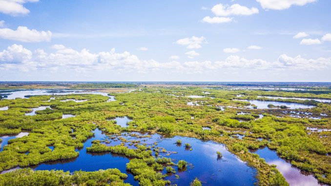 Everglades