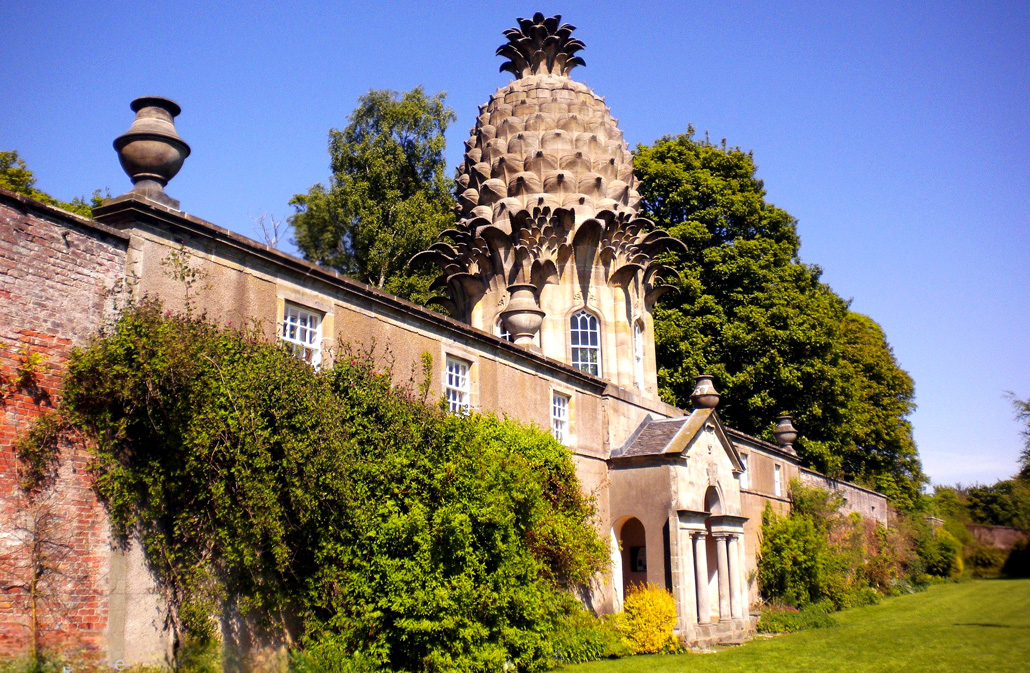 Dunmore Pineapple