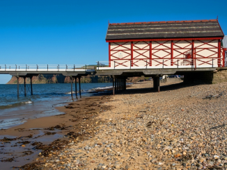 Saltburn