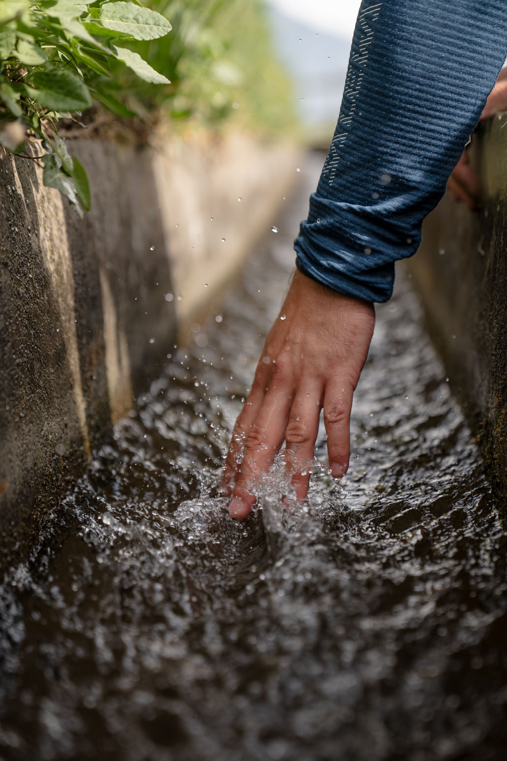 Wasser
