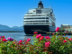 Molde